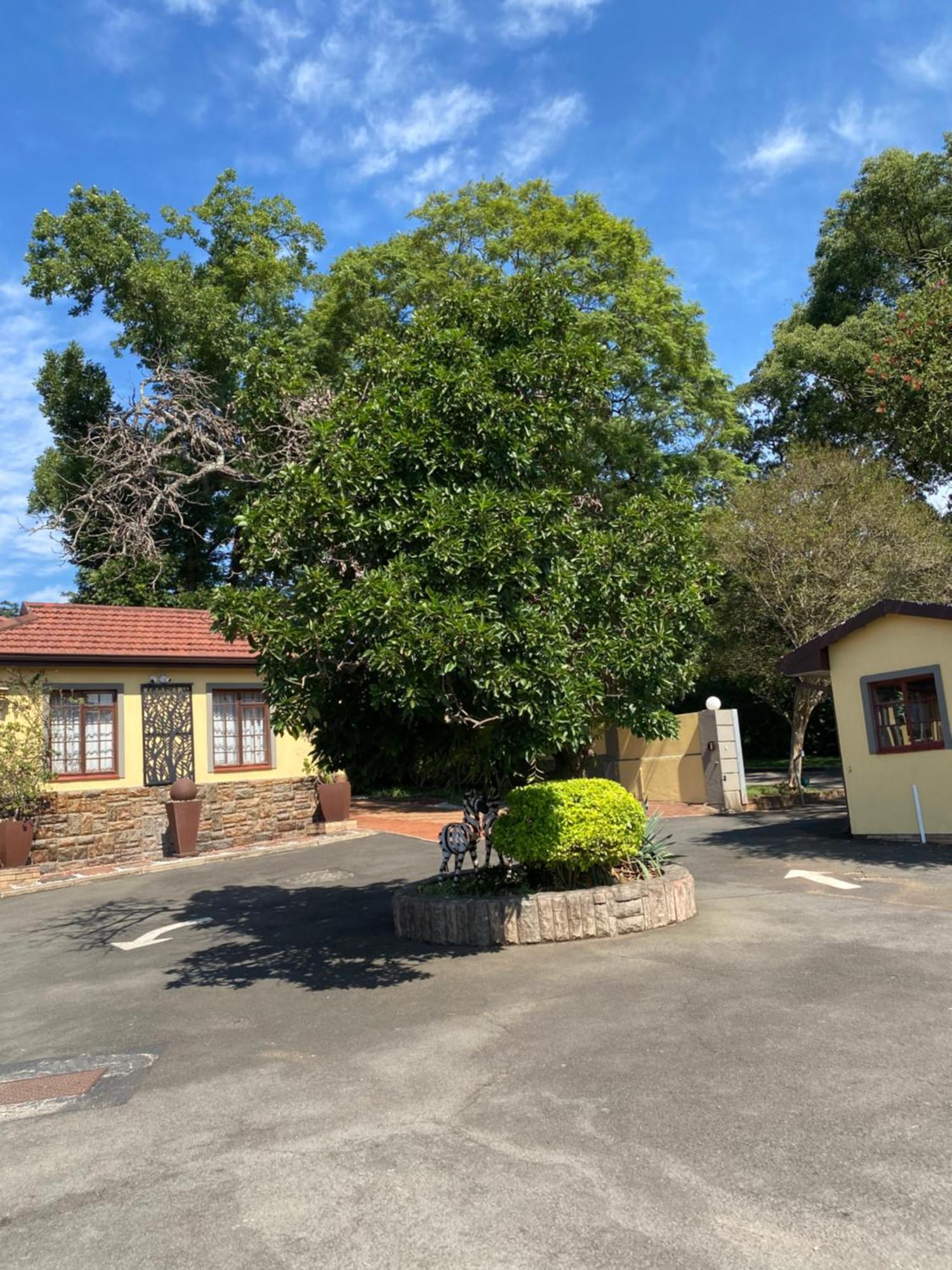 Madlula'S Guesthouse Pietermaritzburg Extérieur photo